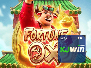 XJWIN login — painel de entrada no app oficial